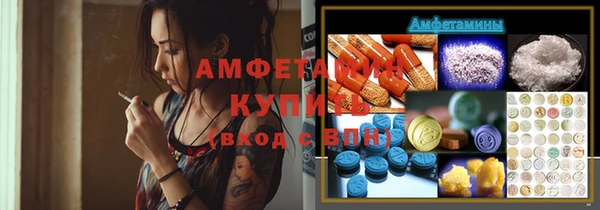 дживик Белокуриха