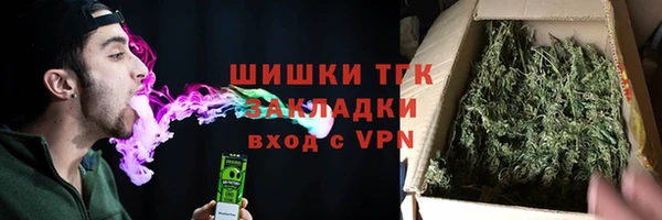 дживик Белокуриха