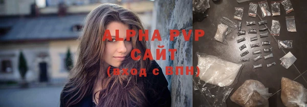 дживик Белокуриха