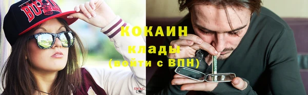 дживик Белокуриха