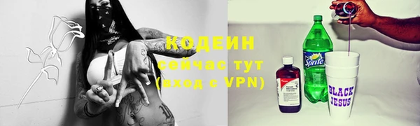 дживик Белокуриха