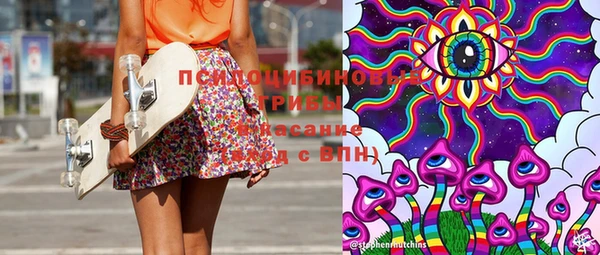 дживик Белокуриха