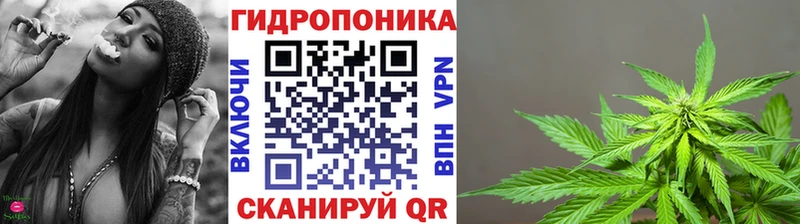 Шишки марихуана THC 21%  Купить  Дальнегорск 
